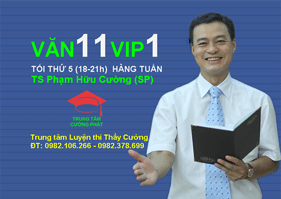 Văn 11 VIP1